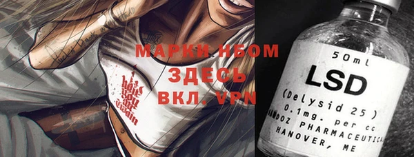 сатива Абаза