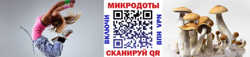 наркота  Азов  Псилоцибиновые грибы MAGIC MUSHROOMS 